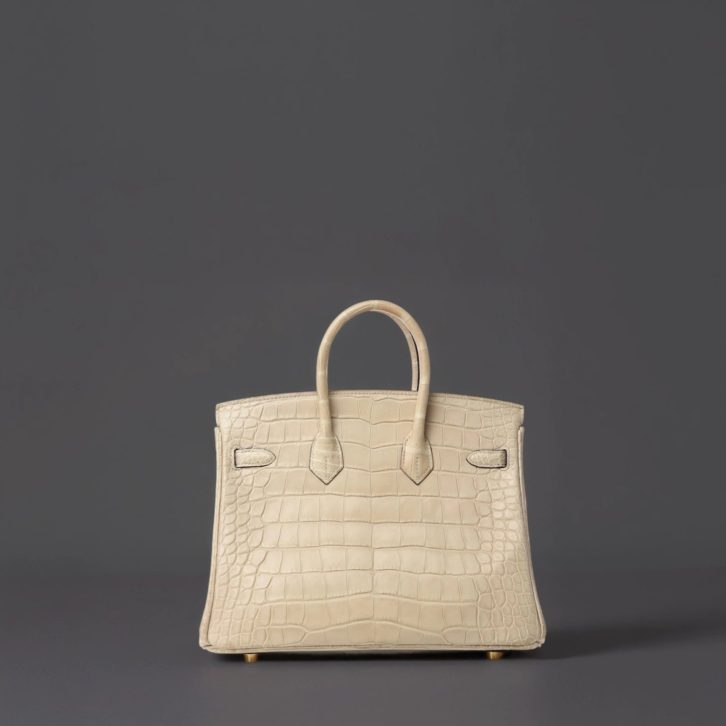 Matte Alligator Birkin 25 Trench