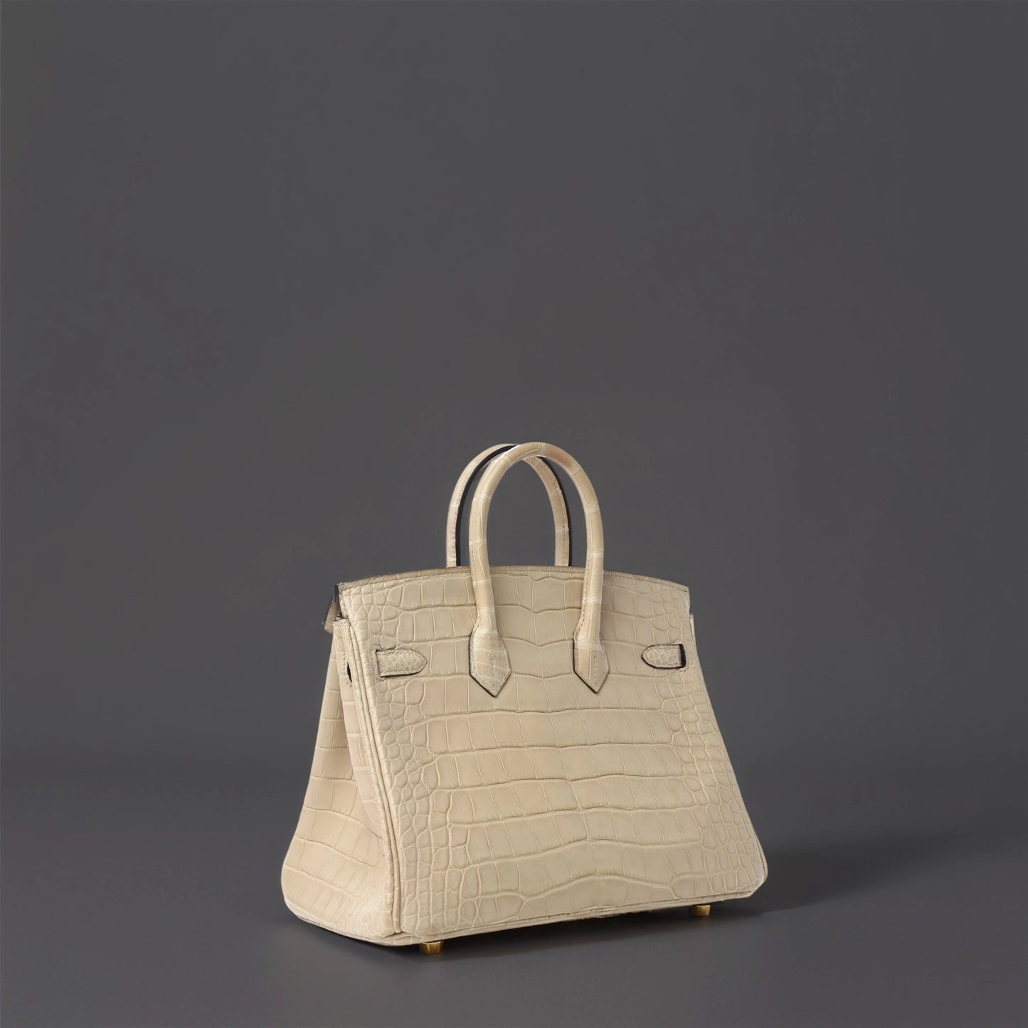 Matte Alligator Birkin 25 Trench