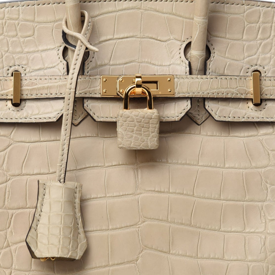 Matte Alligator Birkin 25 Trench