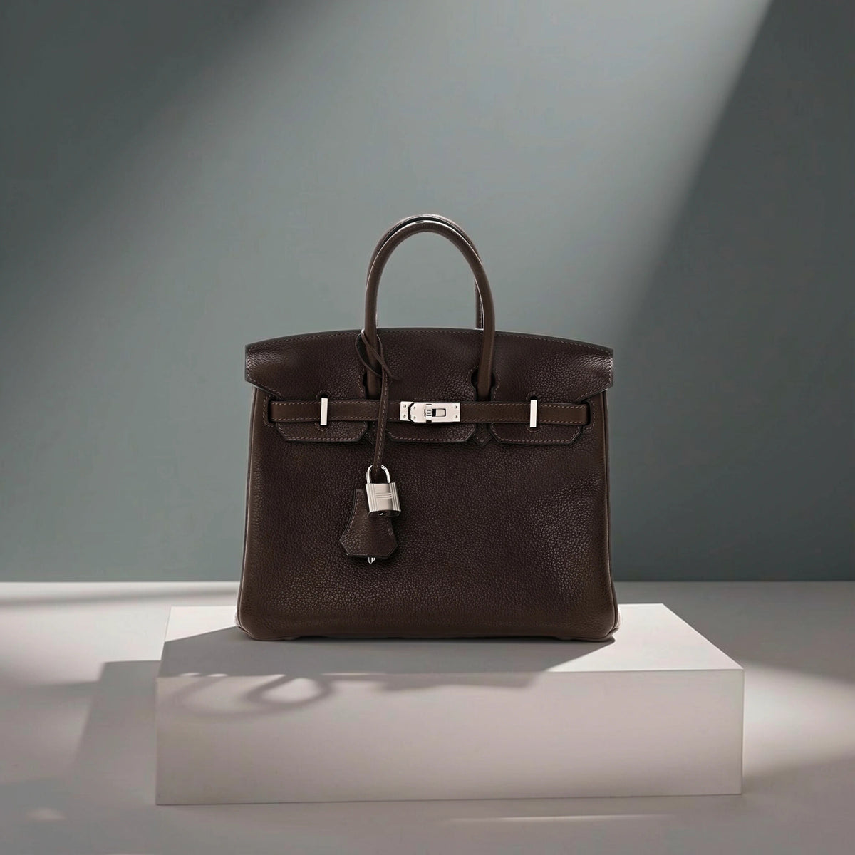 Barenia Faubourg Birkin 25 Ebene