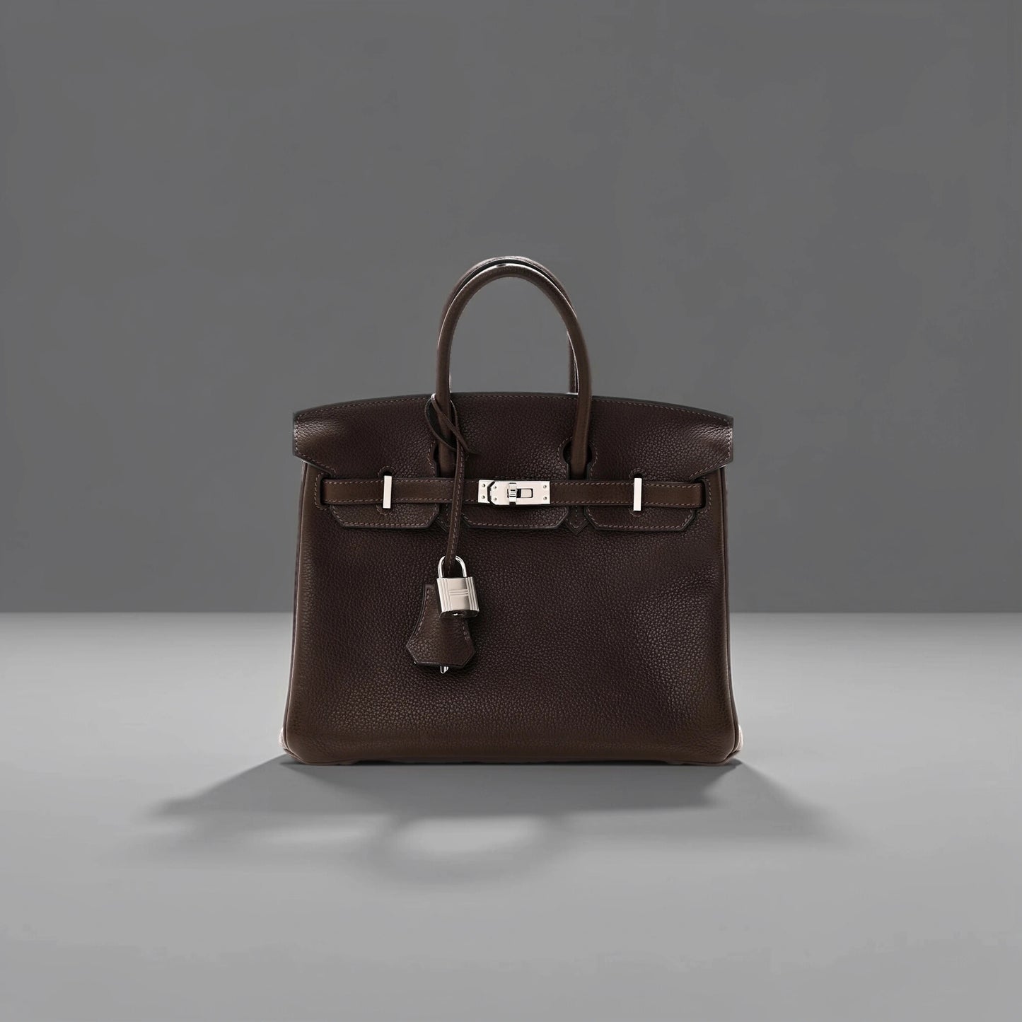 Barenia Faubourg Birkin 25 Ebene
