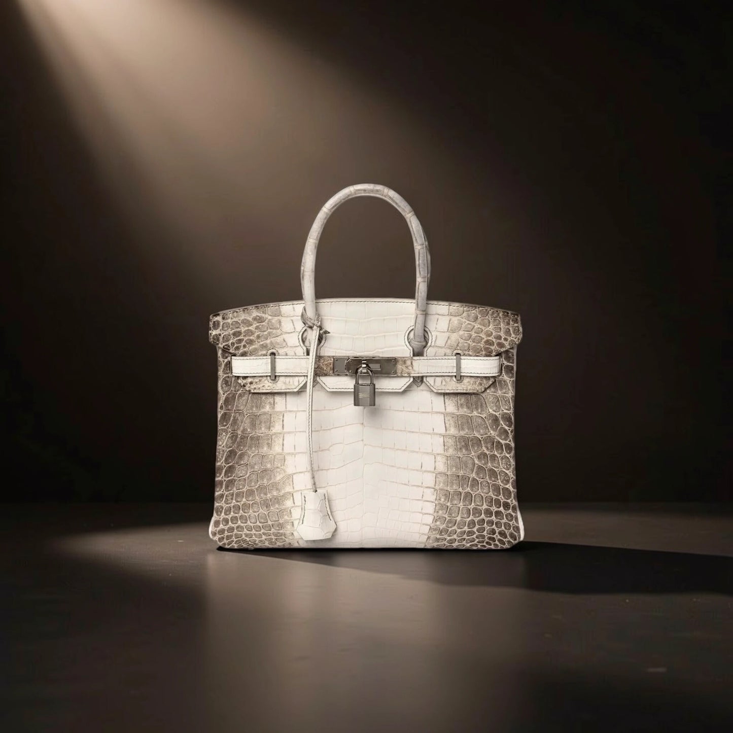 Matte Niloticus Crocodile Himalaya Birkin 30 Blanc